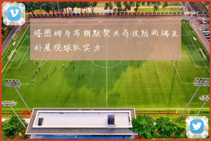 塔图姆与布朗默契共存攻防两端互补展现球队实力
