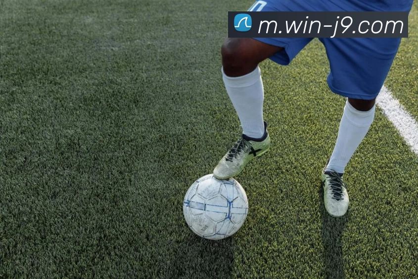 九游体育平台生态图